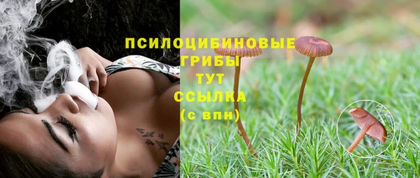 PSILOCYBIN Армянск