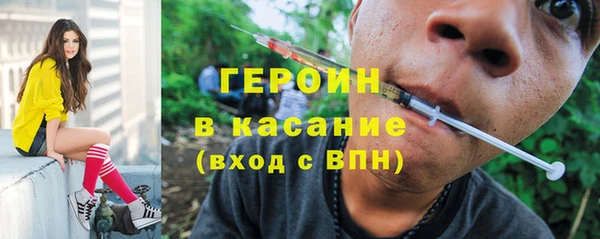 гашик Алексин