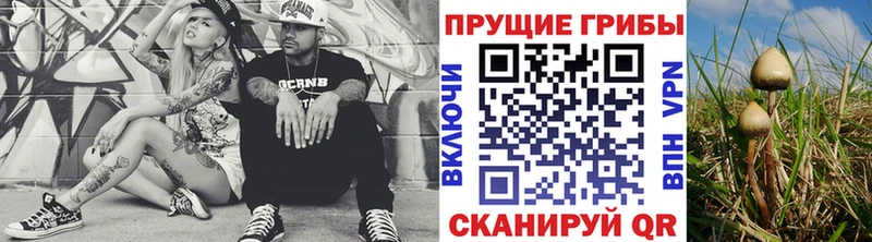Псилоцибиновые грибы мицелий  Курлово 